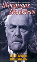 Morangos Silvestres