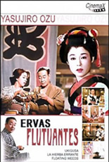 Ervas Flutuantes