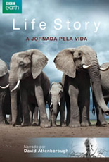 Life Story A Jornada pela Vida (2 Discos)